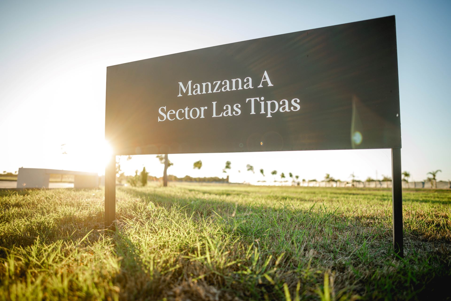 Galería Jardín Pentecostés