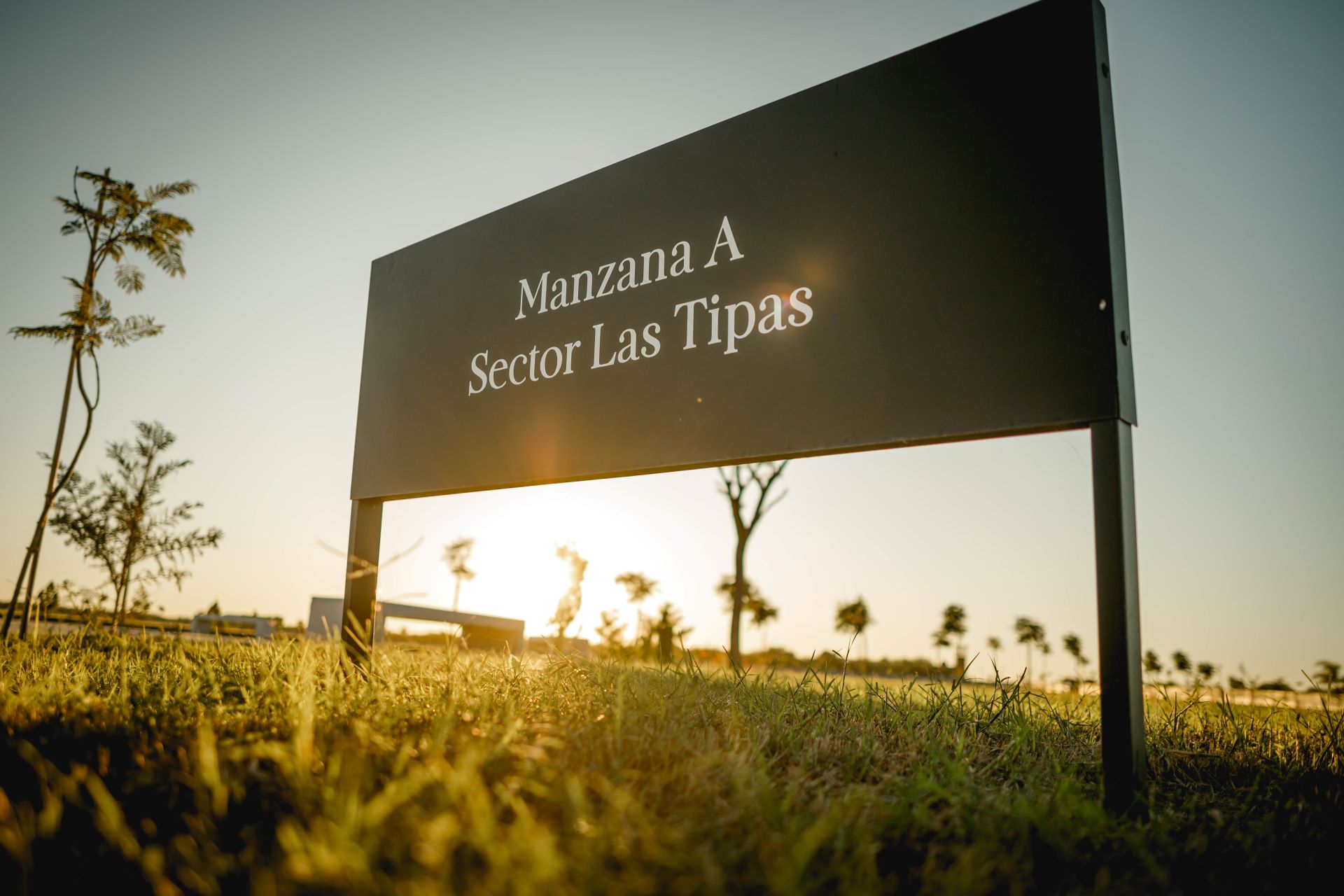 Galería Jardín Pentecostés